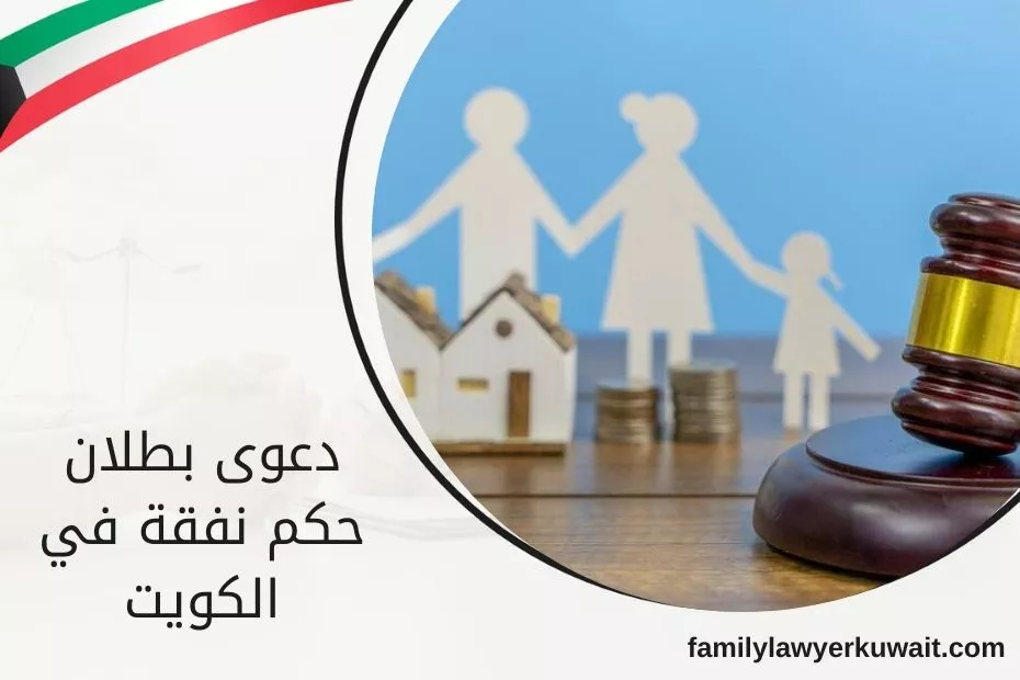 دعوى بطلان حكم نفقة