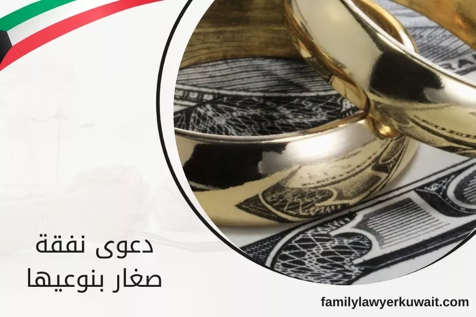 دعوى نفقة صغار بنوعيها