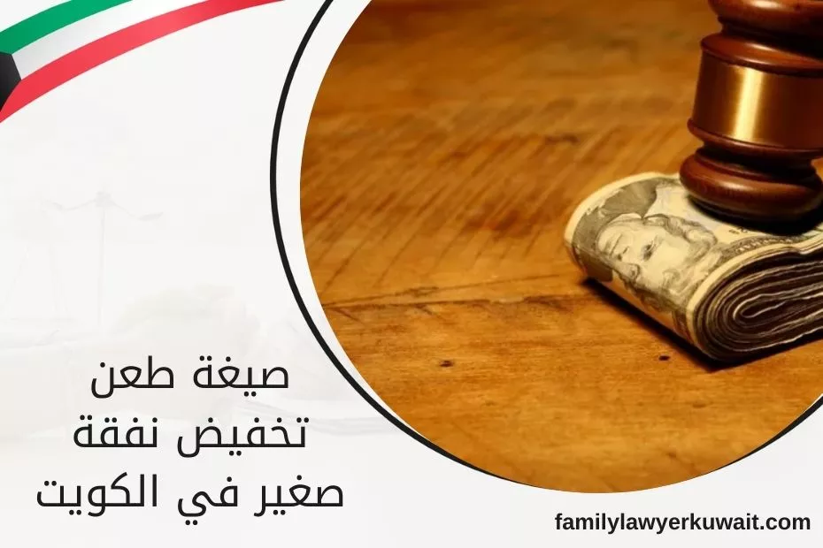 صيغة طعن تخفيض نفقة صغير